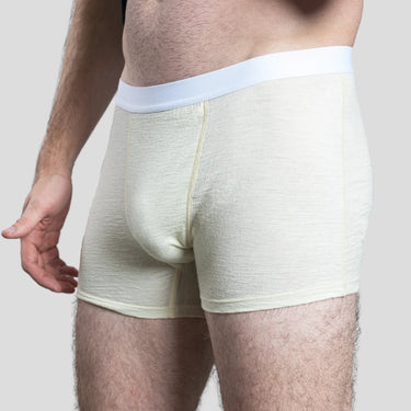 mens antiodor boxer briefs color Undyed